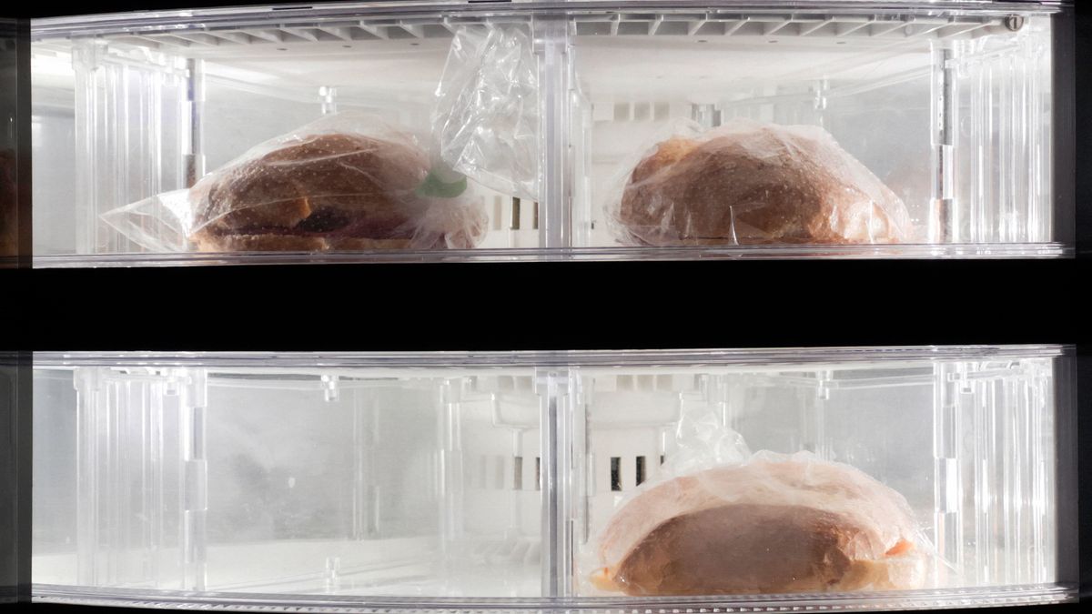 Koel-vriescombinatie kopen? Zo kies je de ideale voor jouw keuken!
