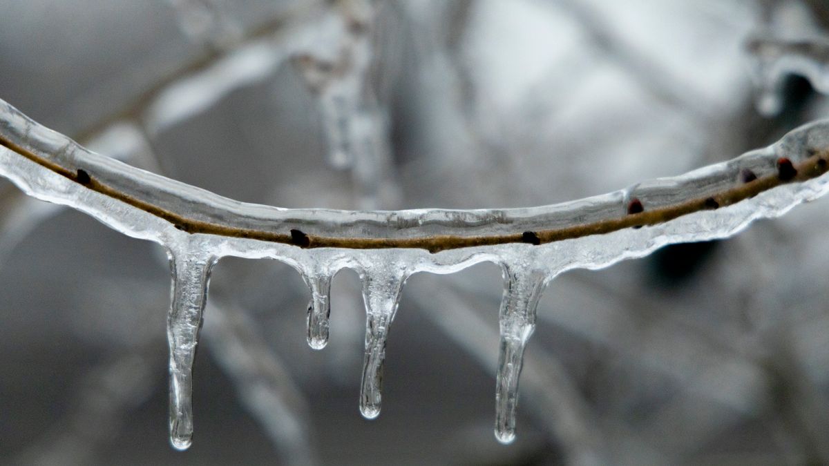 IJsvrij genieten: Alles over No Frost, LowFrost en zelf je koelkast ontdooien