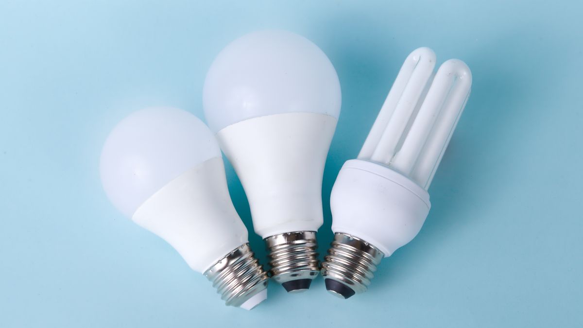 Koelkasten en energie: slim kiezen en besparen op lange termijn